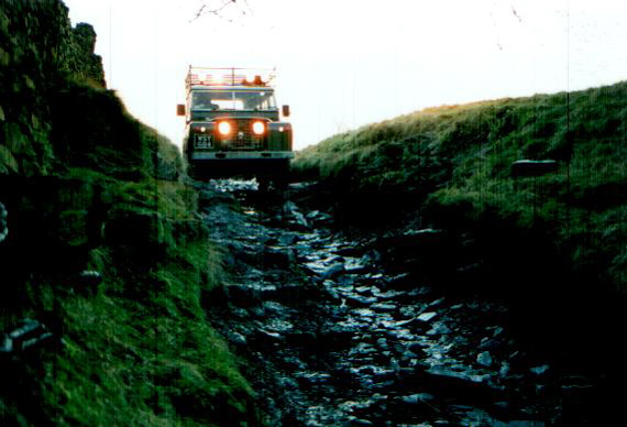 greenlaning